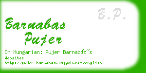 barnabas pujer business card